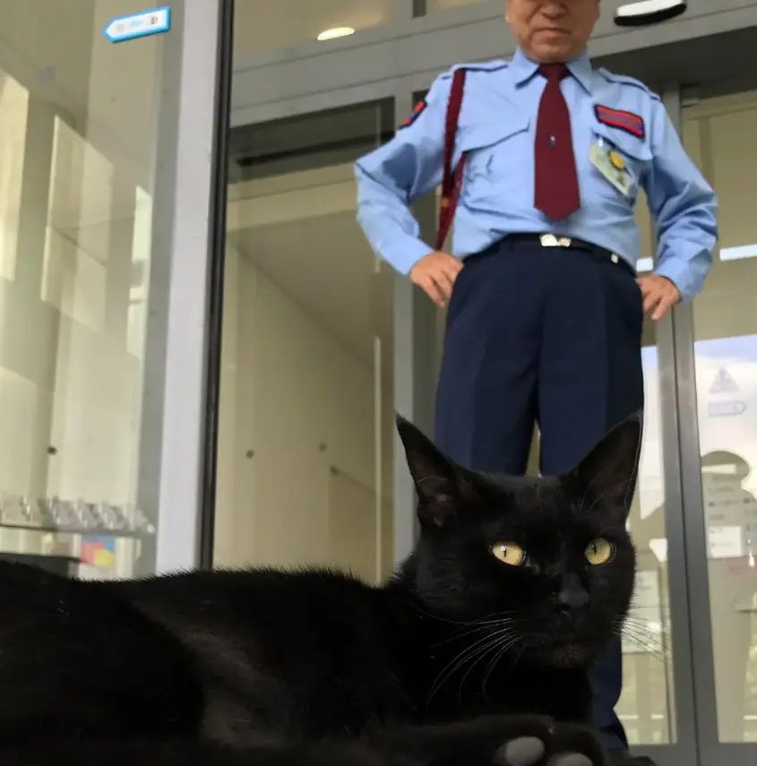 Ken-chan lies just outside the museum's glass entrance while a uniformed guard stands on the other side of the door behind him.