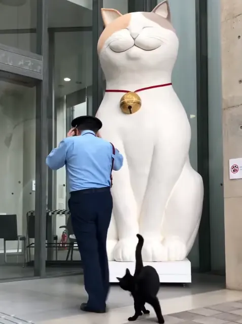 Seen through the museum's glass doors: a guard beside a large white cat sculpture inside the lobby, while a small black cat waits outside.