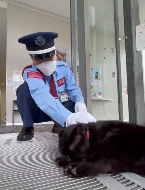 A museum security guard in a light blue uniform, cap, mask and white gloves crouches at the museum's automatic glass doors, gently guiding Ken-chan back outside.